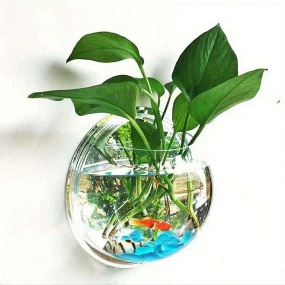 ❗️SOLD❗️2 (TWO) Wall-mounted Decorative Set, Hydroponic Plant Transparent - Picture 4 of 16